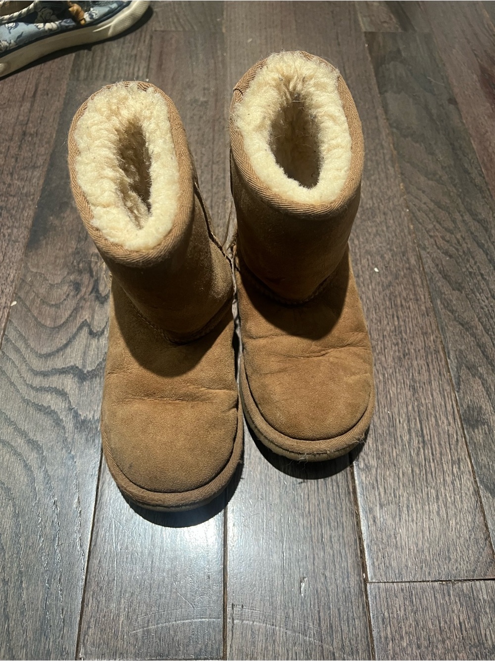 UGG Kids Boots